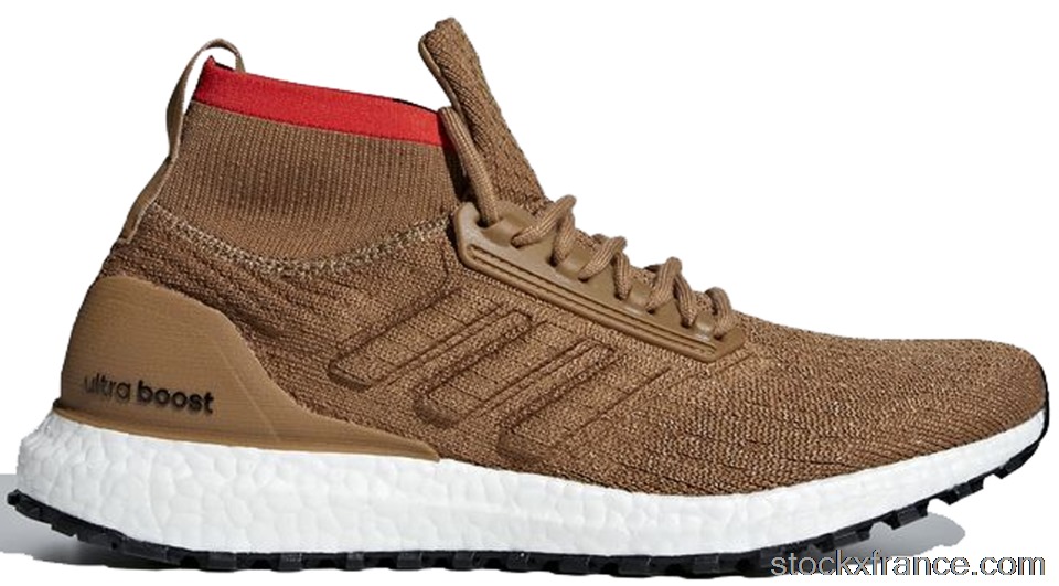 adidas Ultra Boost All Terrain Raw Desert CM8258